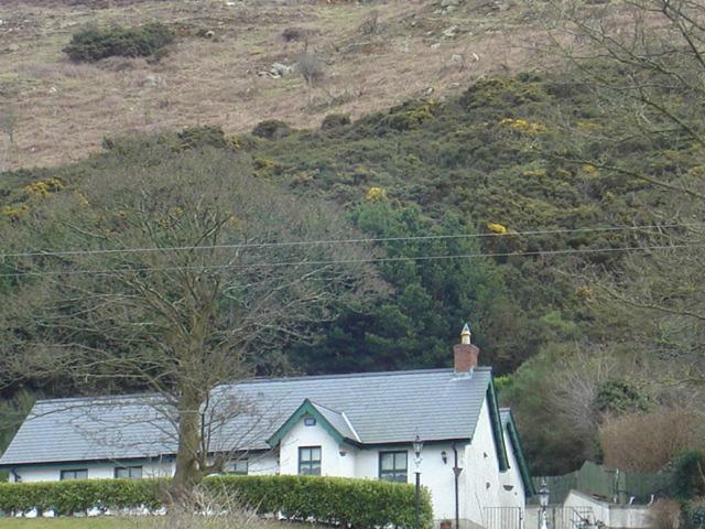 Yewwood Newry